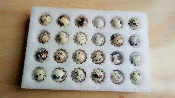 Машина для резки пластиковых упаковок в формате пенообразования